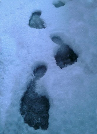 footsteps snow