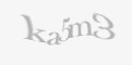 Защитен код